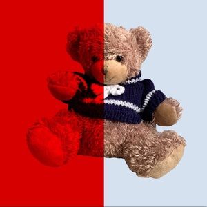 Cute little baby teddy bear Plush Stuffed Animals Toy 10"